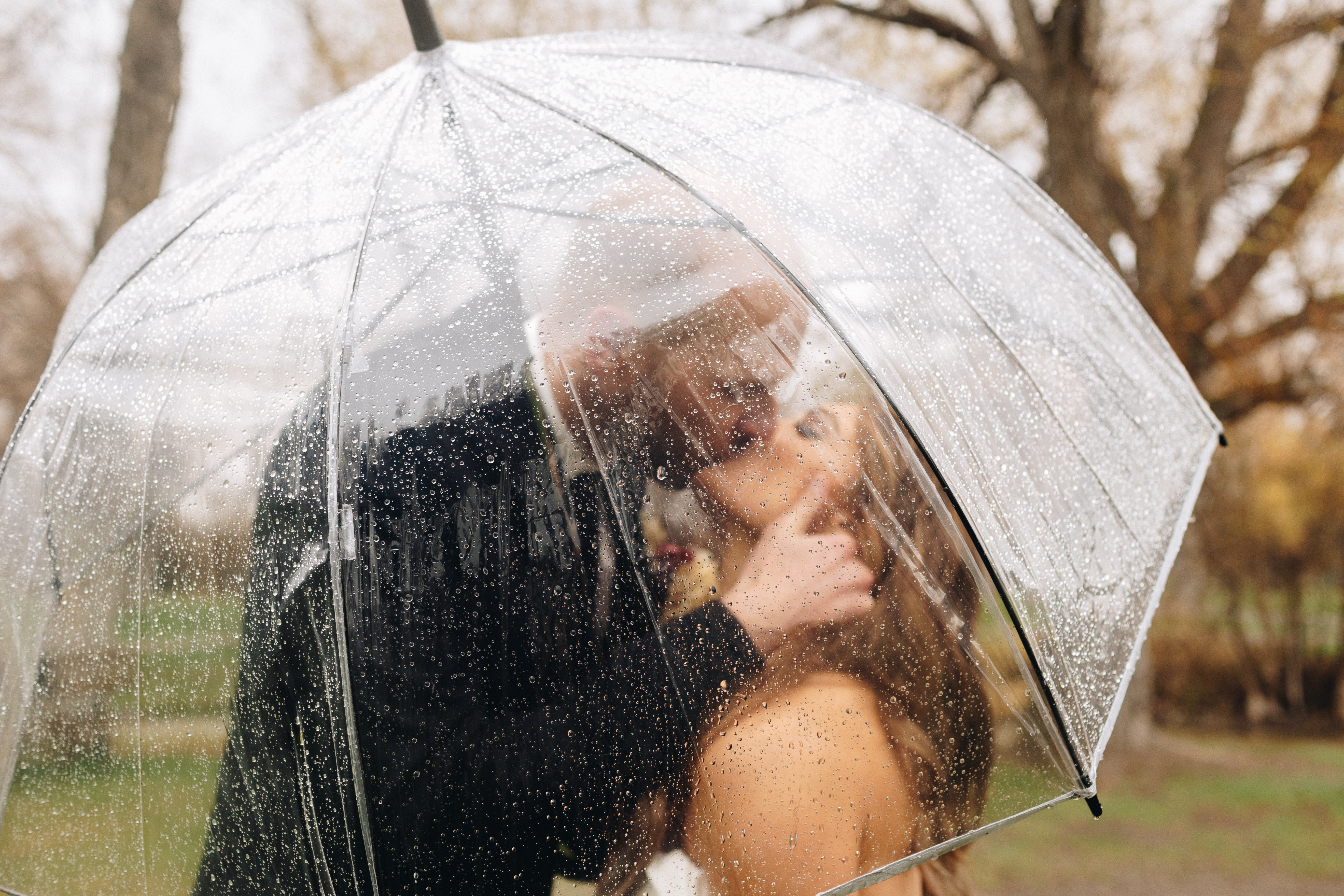 Jefferson City, Columbia, Russellville, Missouri, Wedding Photographer, bridal party, warm, fall wedding, wedding, bride and groom, wedding portraits